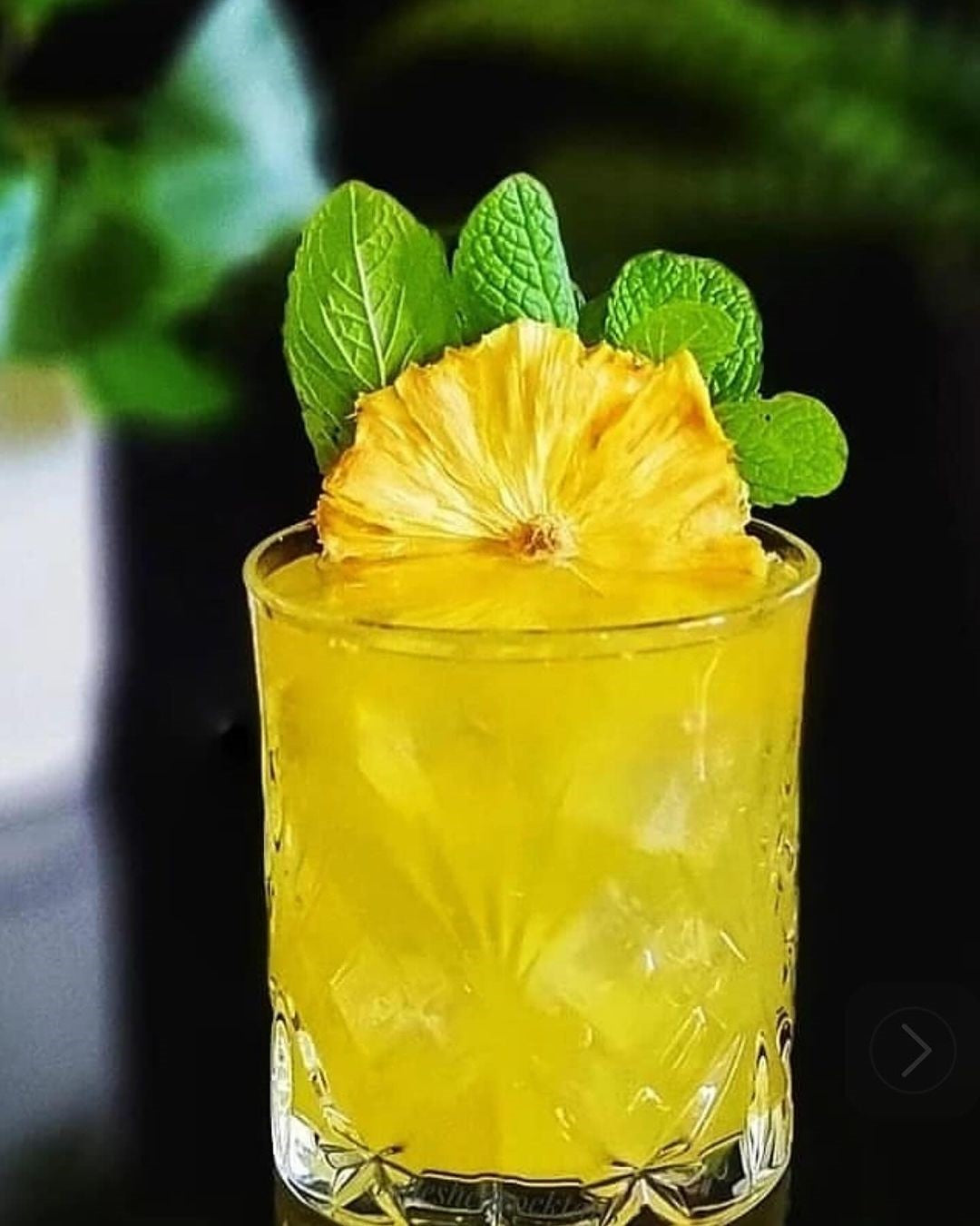 G&T Garnish Ideas: The Best Dried Garnishes for Every Gin Style