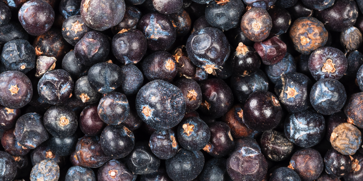 Nim’s Premium Dried Whole Juniper Berries 50g - 1Kg