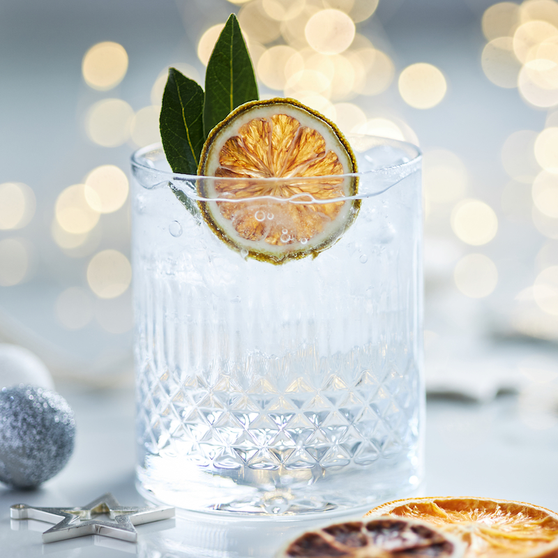 Classic gin and tonic with dried citrus garnish