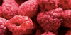 Nim’s Premium Freeze Dried Whole Raspberries 50g - 1Kg